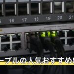 LANケーブルの人気おすすめ8選