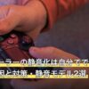 コントローラーの静音化は自分でできる？操作音の原因と対策・静音モデル2選